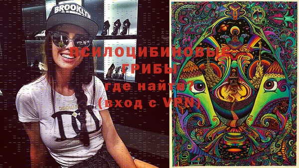 тгк Алексин