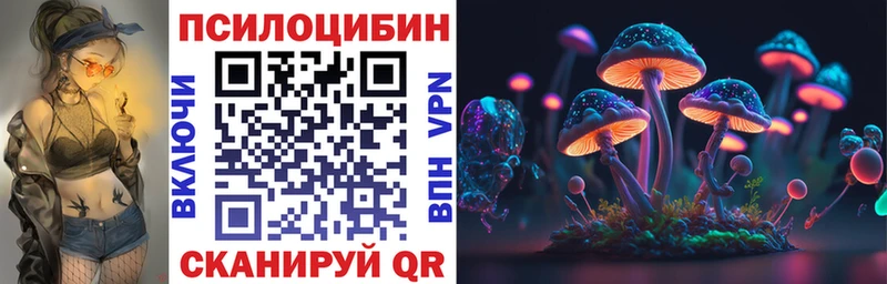 нарко площадка как зайти  Алексеевка  Псилоцибиновые грибы Psilocybine cubensis 