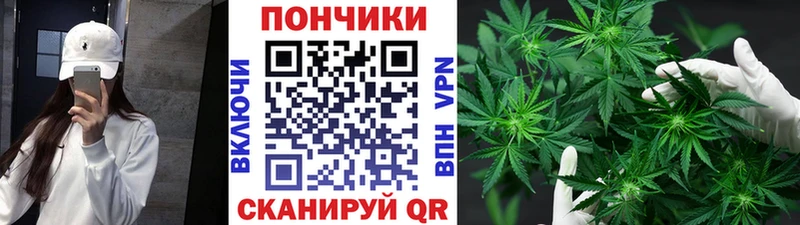 ОМГ ОМГ ССЫЛКА  Алексеевка  Бошки Шишки Bruce Banner 